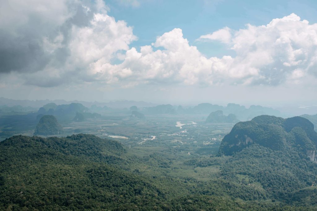 Vue sur la foret en Thailande